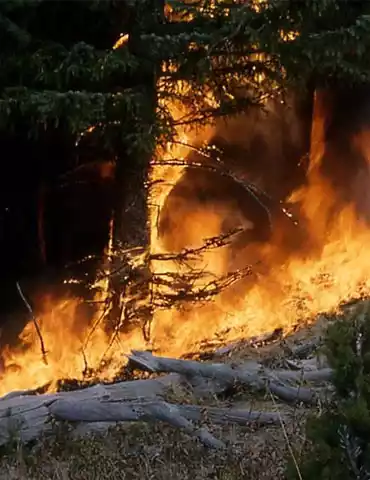 erosion control after wildfire