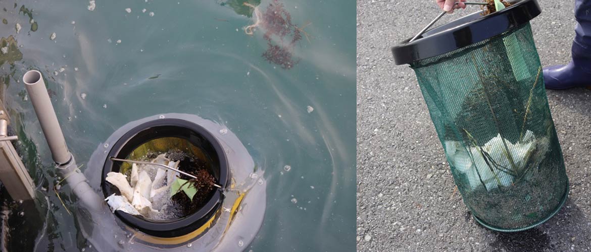 Seabin Trash Skimmer Maintenance Plan