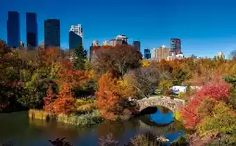 city landscaping