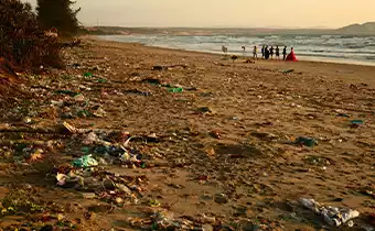 international coastal cleanup