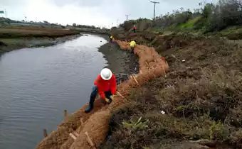 coconut coir logs