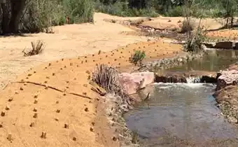 Coir blankets and mats