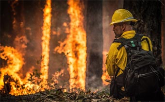 firefighter and forest fire protection
