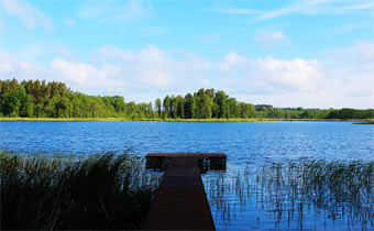 Private dock in a park