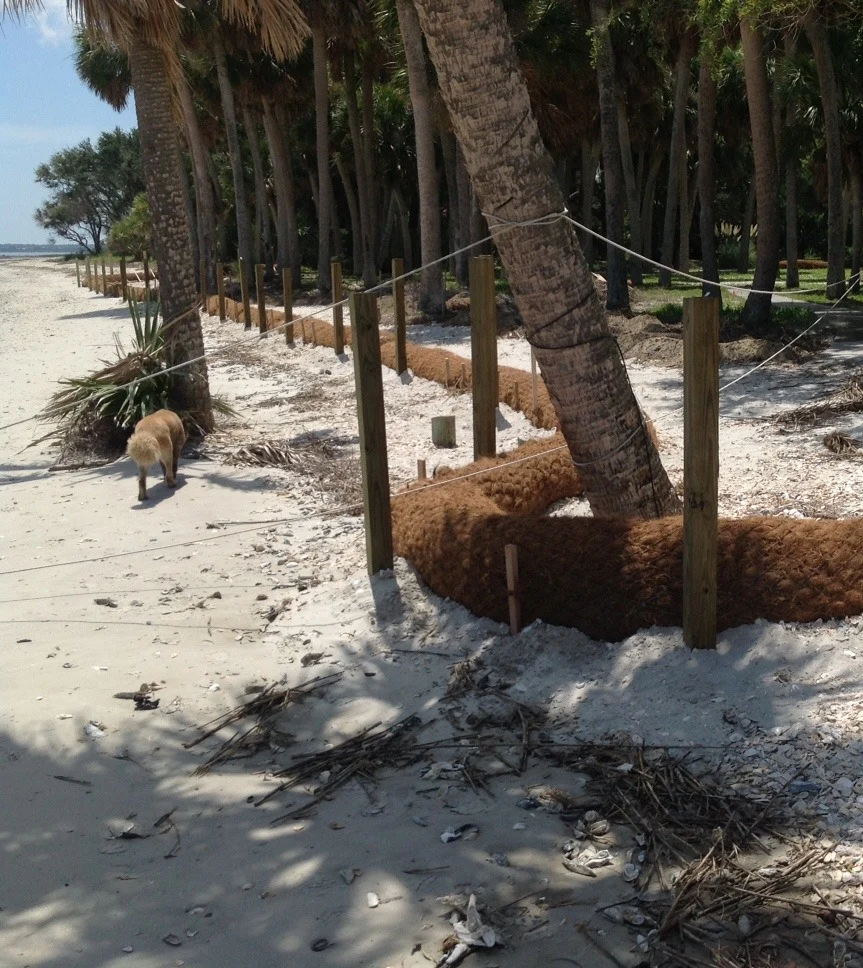 Beachfront erosion control using coir logs supported by wooden posts and ropes, protecting the shoreline from erosion.