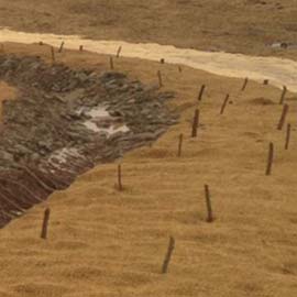 coir mats