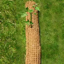 coir log around a palm