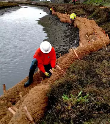 coir logs