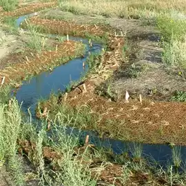 coir fabric erosion control