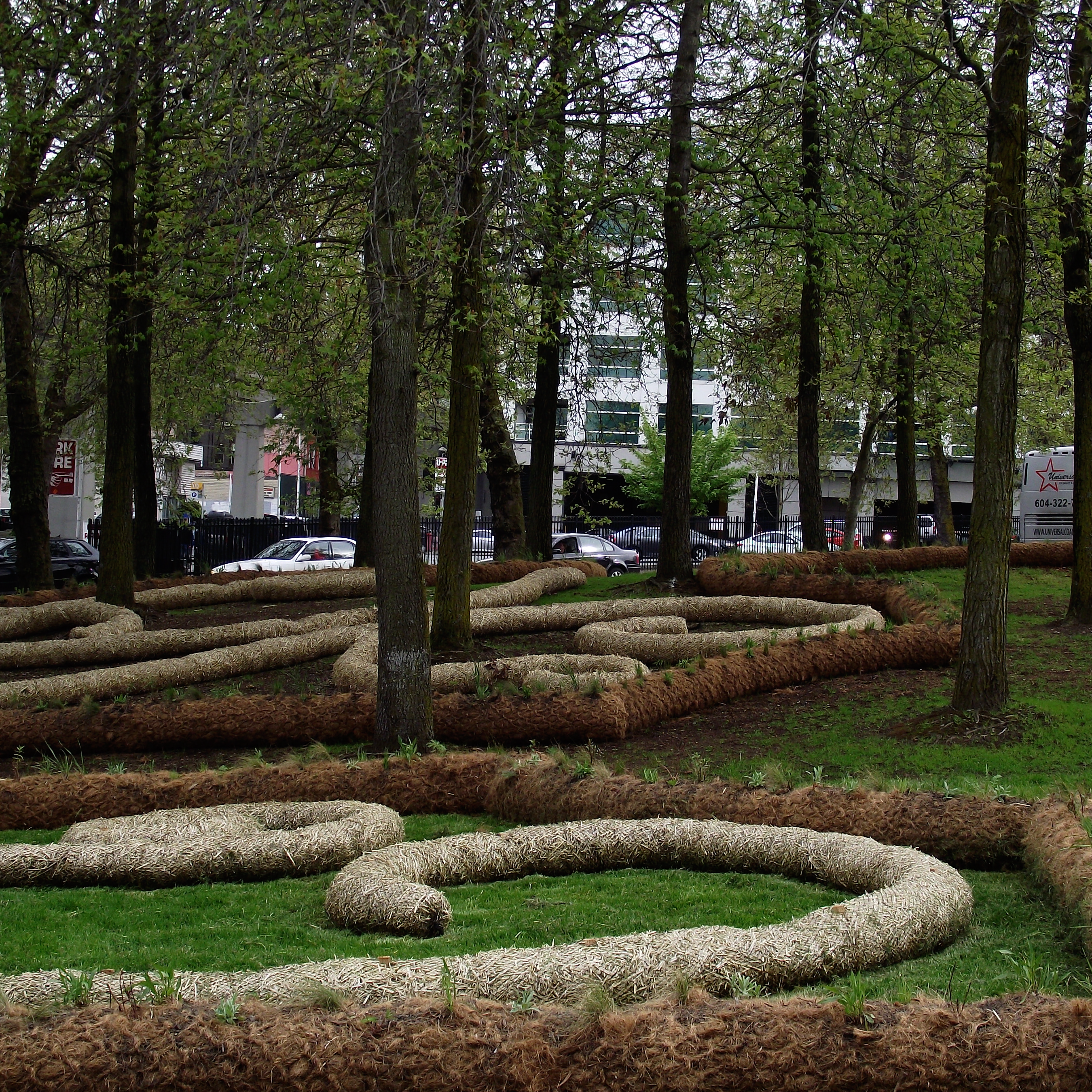 Urban landscape with coir logs arranged in a park for erosion control and vegetation restoration.