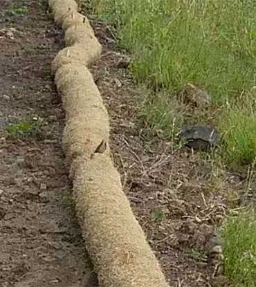 erosion wattle