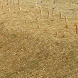 hillside erosion control