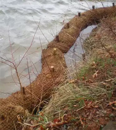 predrilled coir logs