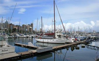 Floating yacht club dock